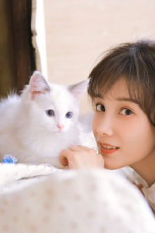 野猫驯养by魏承泽